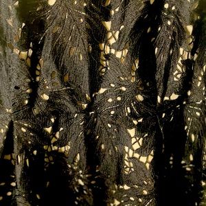 Black lace beautiful dress